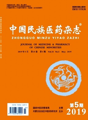 中国民族医药杂志